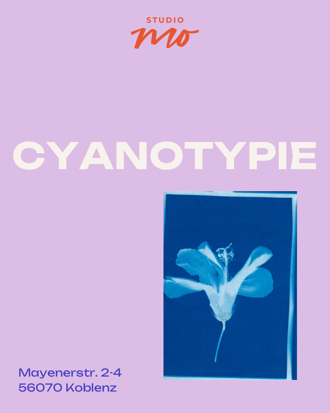 Cyanotypie